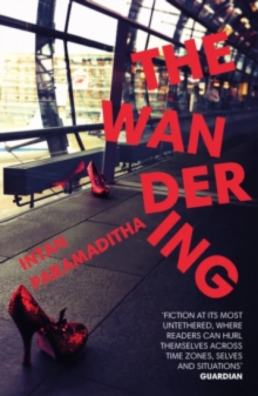 Image of The Wandering Paperback / softback