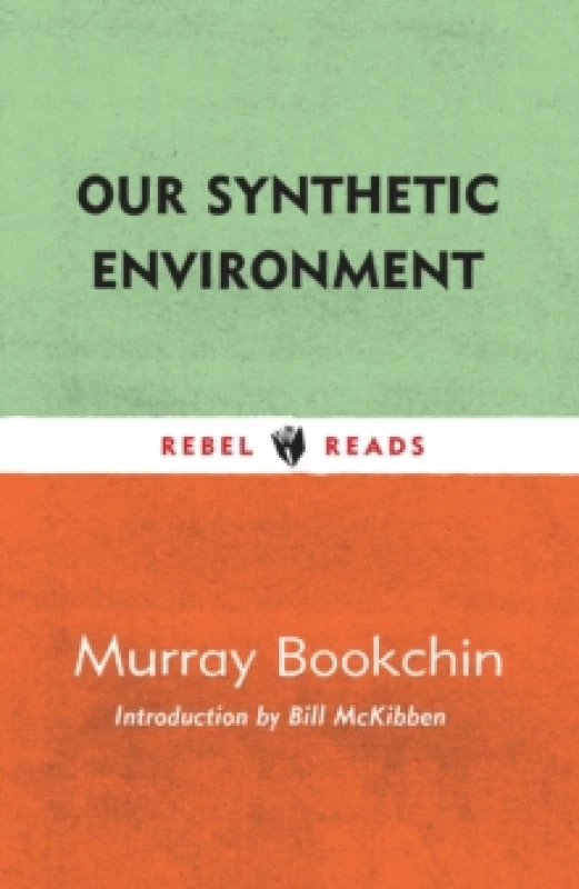 Image of Our Synthetic Environment Paperback / softback