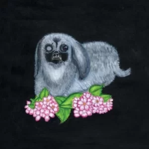 Image of Guadalupe Plata 2017 by Guadalupe Plata Vinyl Album