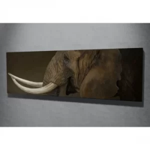 Image of PC058 Multicolor Decorative Canvas Painting