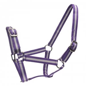 Image of Roma Headcollar and Lead Rope Set - Purple/Silver