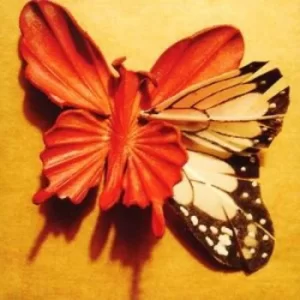 Image of We Made This Ourselves by Essie Jain CD Album