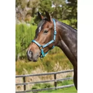 Image of Weatherbeeta Ombre Headcollar - Multi