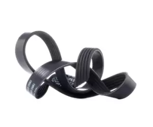 Image of DAYCO V-ribbed belt 5PK810 Serpentine belt,Auxiliary belt BMW,3 Limousine (E46),5 Limousine (E39),3 Touring (E46),3 Coupe (E46),5 Touring (E39)