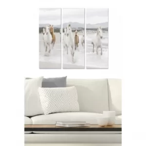 Image of MDFFTR1021 Multicolor Decorative MDF Painting (3 Pieces)