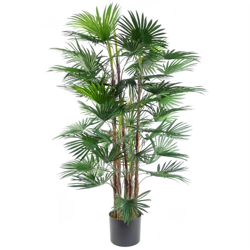 Image of Leaf Fan Palm Artificial Tree 120cm Botanik Green