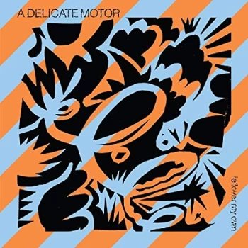 Image of Delicate Motor - Fellover My Own Vinyl