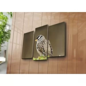 Image of 3NATPAT-44 Multicolor Decorative Canvas Painting (3 Pieces)