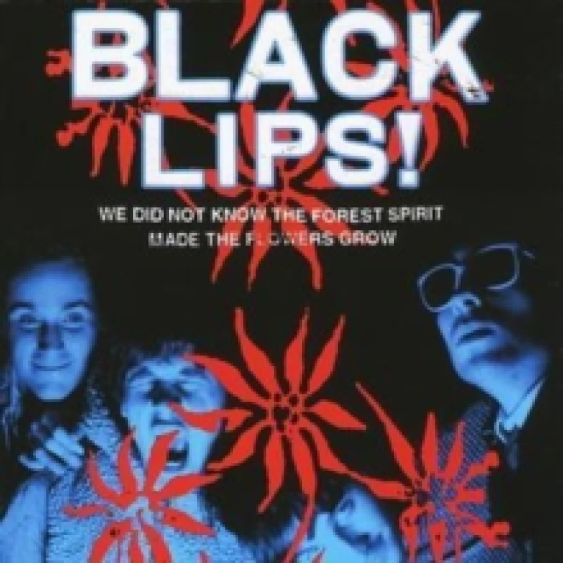 Image of Black Lips - We Did Not Know the Forest Spirit Made Flowers [CD / Album] Music CDs - Music CD