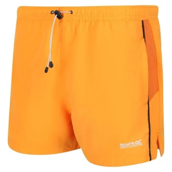 Image of Regatta Rehere Swim Shorts - FlameOra/Fox