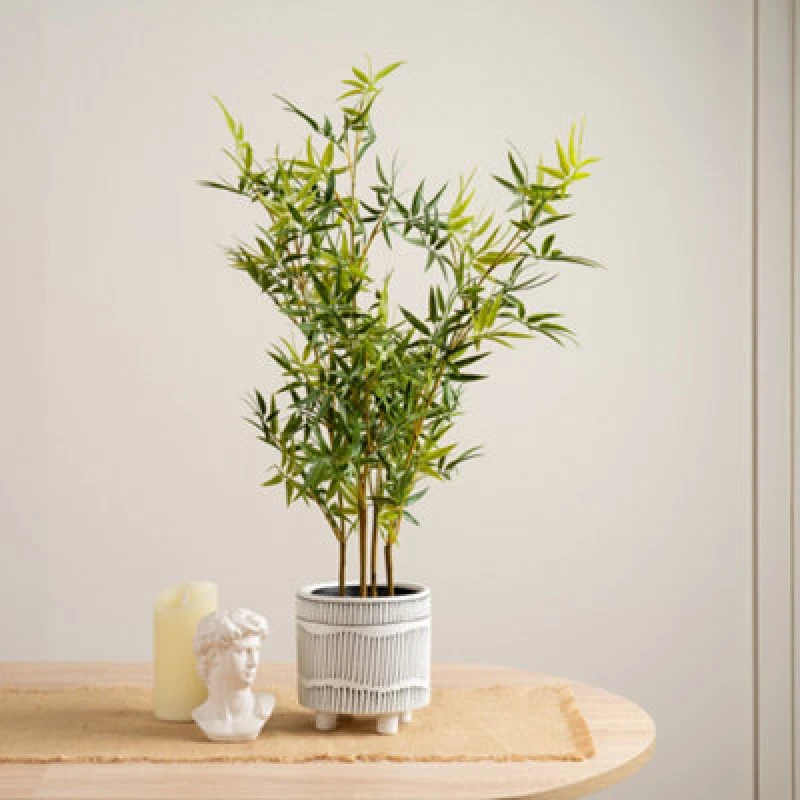 Image of Scottish Everlastings Ltd. Scottish Everlastings Artificial 75Cm Mini-Leaf Bamboo Tree