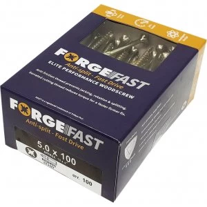 Image of Forgefix Forgefast Pozi Wood Screw 5mm 100mm Pack of 100