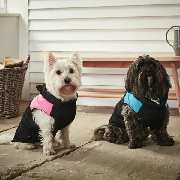 Image of BUNTY Dog Puppy Pet Warm Insulated Padded Coat Thick Winter Puffer Jacket Clothes - Blue - Medium AFRA-HG-PET-0046_BL-M