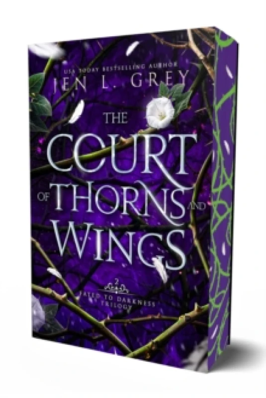 Image of The Court of Thorns and Wings : Volume 2 Paperback / softback