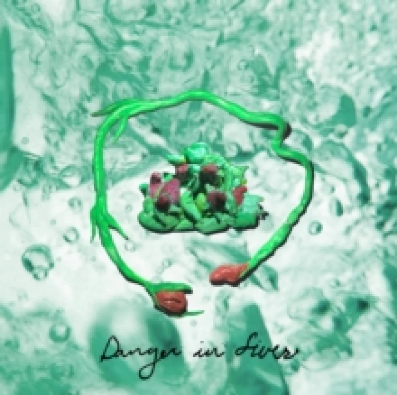 Image of Danger in fives Vinyl