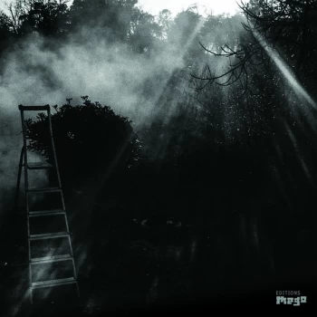 Image of Reinhold Friedl & Eryck Abecassis - animal &eacute;lectrique Vinyl