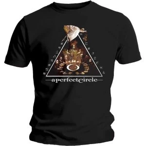 Image of A Perfect Circle - Surrender Unisex Medium T-Shirt - Black