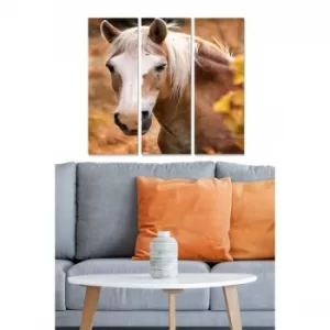 Image of MDF3204312 Multicolor Decorative MDF Painting (3 Pieces)