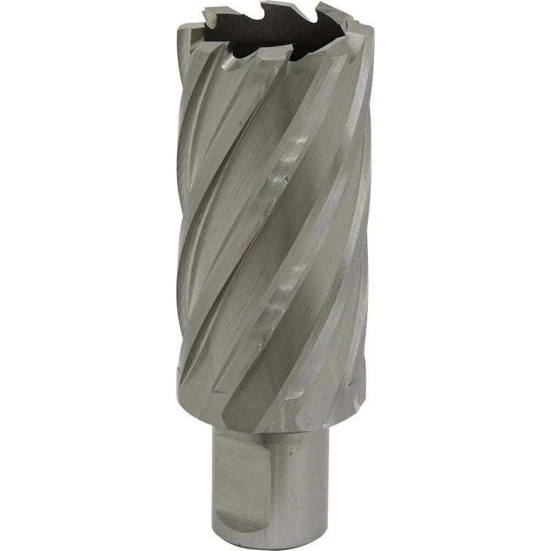 Image of Loops 31mm x 50mm Depth Rotabor Cutter - M2 Steel Annular Metal Core Drill 19mm Shank Metallics