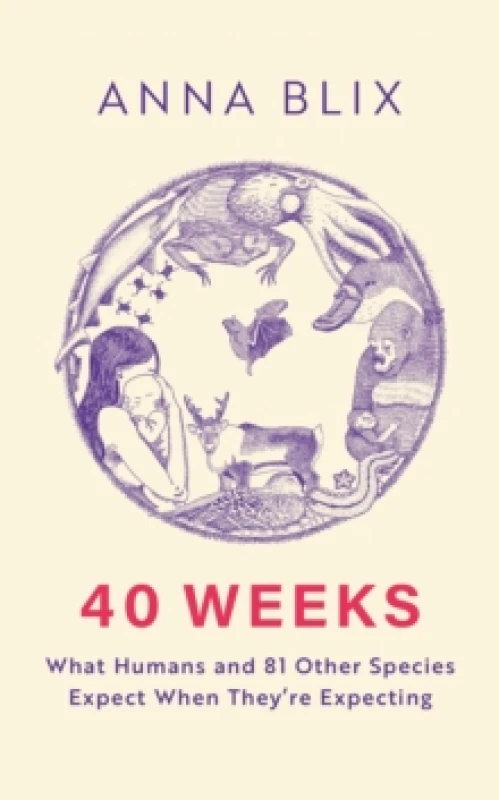 Image of 40 Weeks : What Humans and 81 Other Species Expect When They're Expecting Hardback