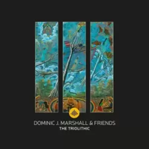 Image of The Triolithic by Dominic J. Marshall & Friends CD Album