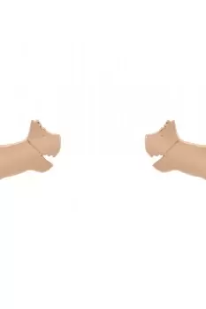 Image of Ladies Radley Chelsea Creek Earrings RYJ1224