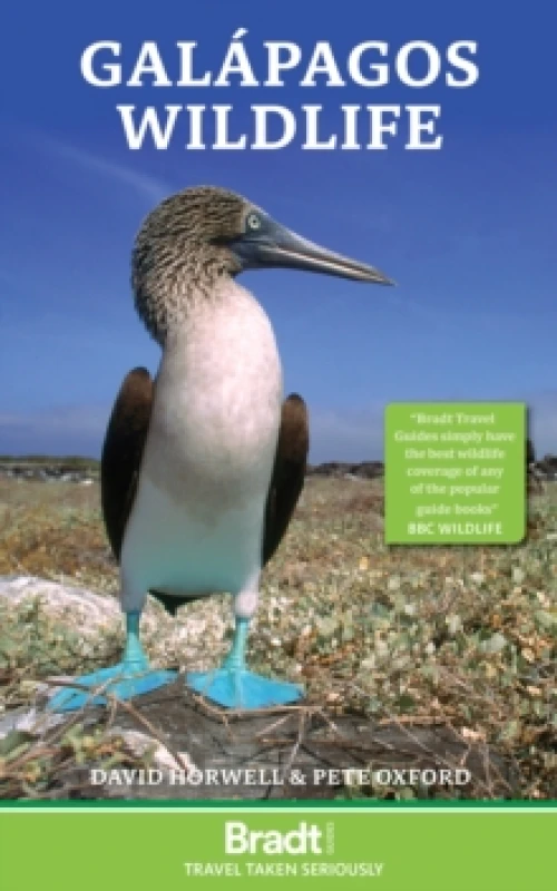 Image of Galapagos Wildlife Paperback / softback