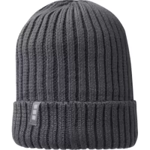 Image of Elevate Unisex Adult Ives Organic Cotton Beanie (One Size) (Storm Grey)