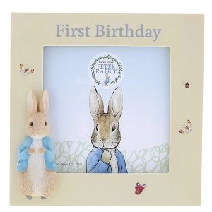 Image of Peter Rabbit First Birthday Photo Frame