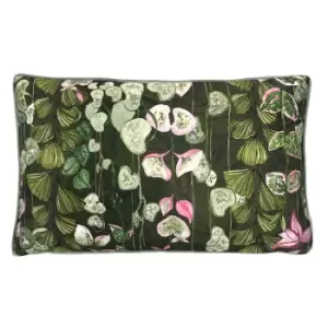 Image of Veadeiros Botanical Cushion Pink