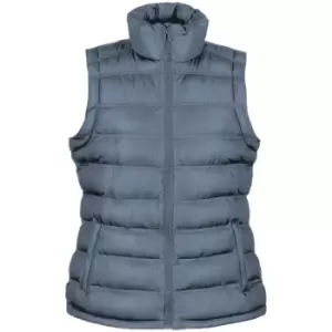 Image of Result Ladies/Womens Ice Bird Padded Bodywarmer / Gilet Jacket (S) (Frost Grey)