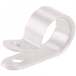 Image of Fastener Screw fixing Ecru Panduit CCS19 S8 C CCS19 S8 C