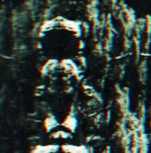 Image of The Forest the People and the Spirits by O Morto Vinyl Album