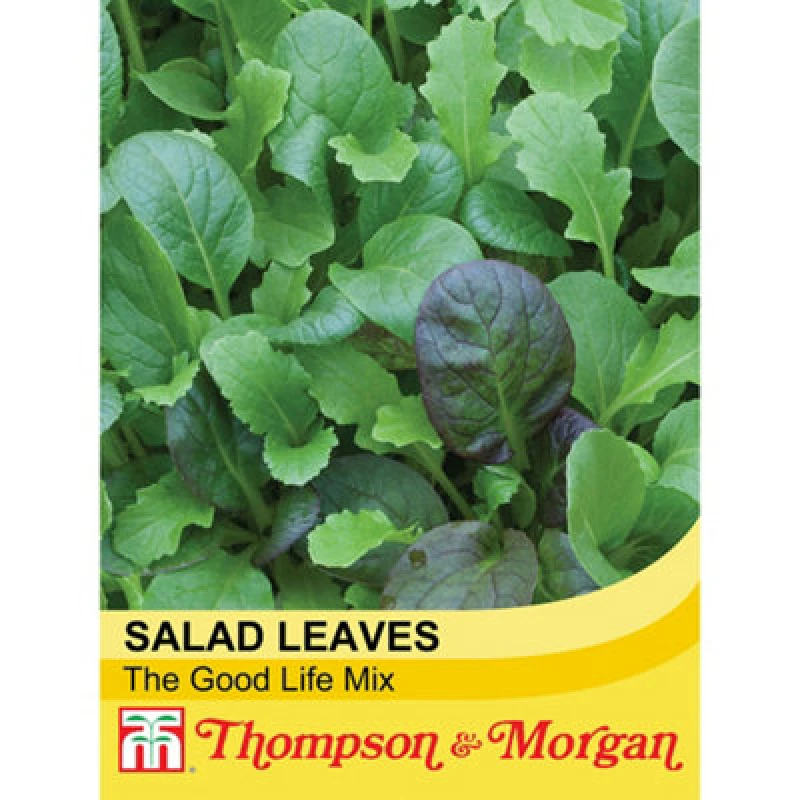 Image of Thompson & Morgan Winter Greens The Good Life Mix 1 Seed Packet