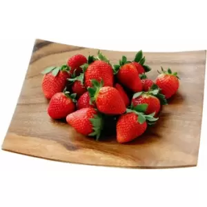 Image of Kora Serving Plate - Premier Housewares