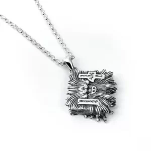 Image of Sterling Silver Monster Book Necklace