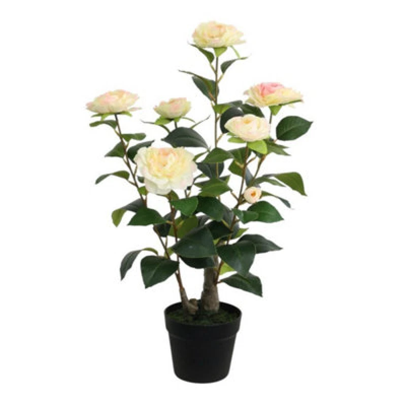 Image of Minster Artificial Camellia Plant - L50 X W50 X H58 Cm
