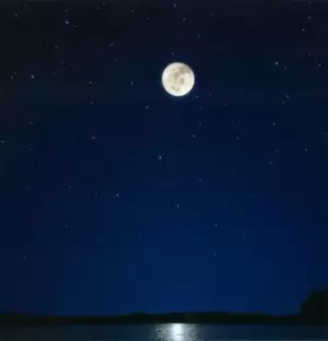 Image of Moons Milk in Final Phase by Electric Sewer Age CD Album