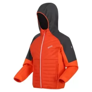 Image of Regatta Kielder Hybrid VI Insulated Jacket - RustyOr/SlGy