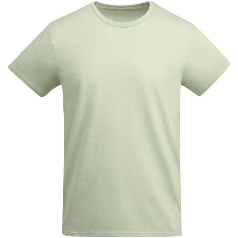 Image of ROLY ROLY Men Breda Plain T-Shirt in Light Green Size: Small Light Green S Male 5063470395880