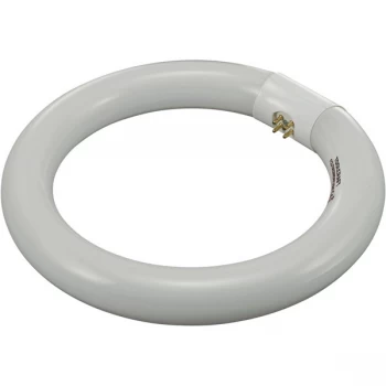 Image of Toolcraft 821595 22W G10q Fluorescent Ring Shape Bulb - 205mm Diameter