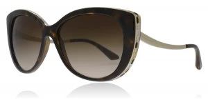 Image of Bvlgari BV8178 Sunglasses Dark Havana 977/13 57mm