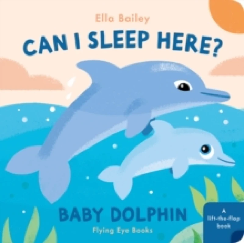 Image of Can I Sleep Here? Baby Dolphin Board book