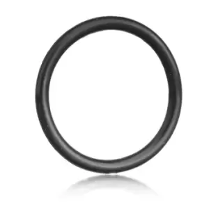 Image of REINZ Oil Drain Plug Gasket OPEL,SUZUKI,CHEVROLET 40-76041-20 652540,90528145