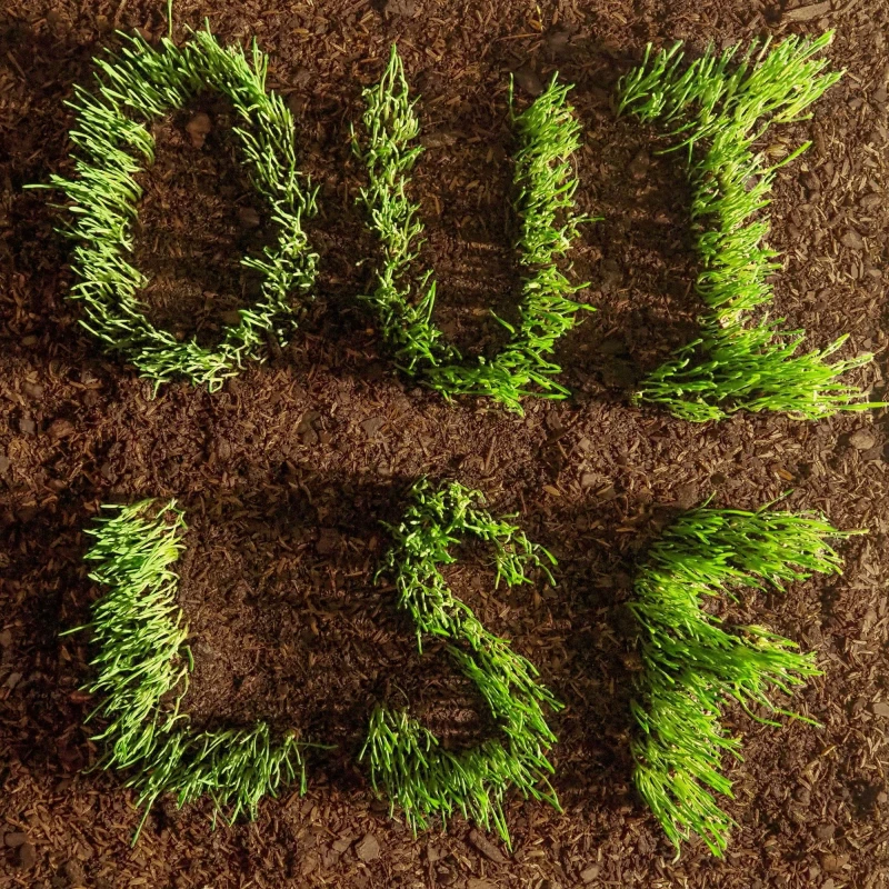 Image of OUI, LSF Vinyl