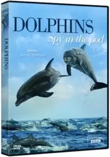 Image of Dolphins: Spy in the Pod