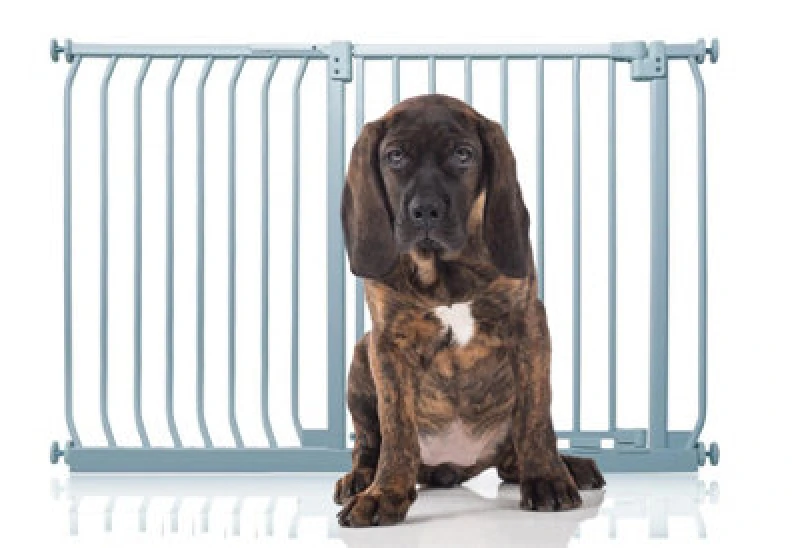 Image of Bettacare Elite Pressure Dog Gate, 125Cm - 134Cm, Matt Grey, Pressure Fit Pet Gate For Dog And Puppy