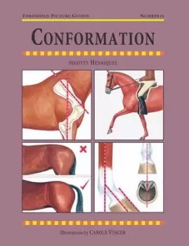 Image of Conformation - Pegotty Henriques - Paperback - Used