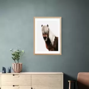 Image of East End Prints Horse Print Brown
