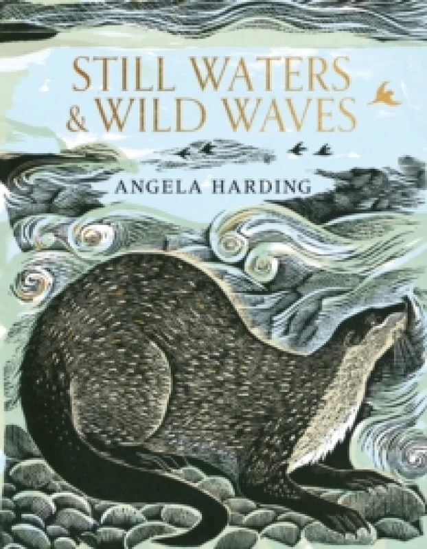 Image of Still Waters & Wild Waves : from beloved illustrator and printmaker Angela Harding Hardback